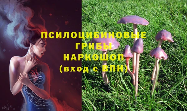 трава Абинск