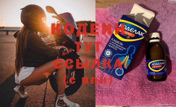 хмурый Михайловск