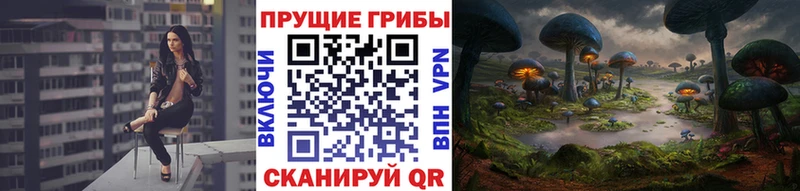 Галлюциногенные грибы Magic Shrooms  Ядрин 